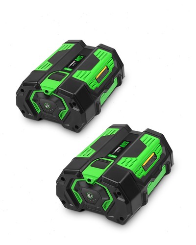 2pack for genuine ego power - 2pack,